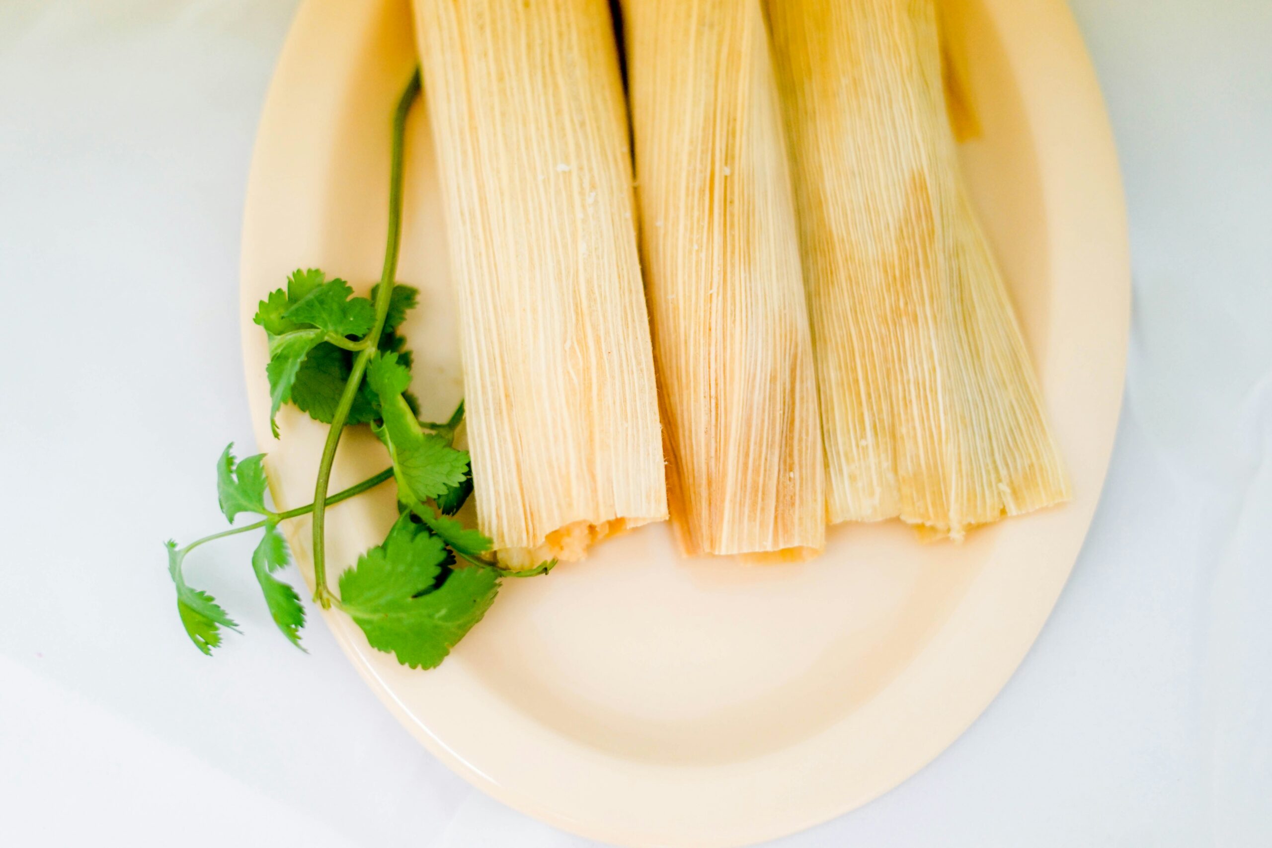 pork-tamale-nutrition-facts-calories-and-protein-content